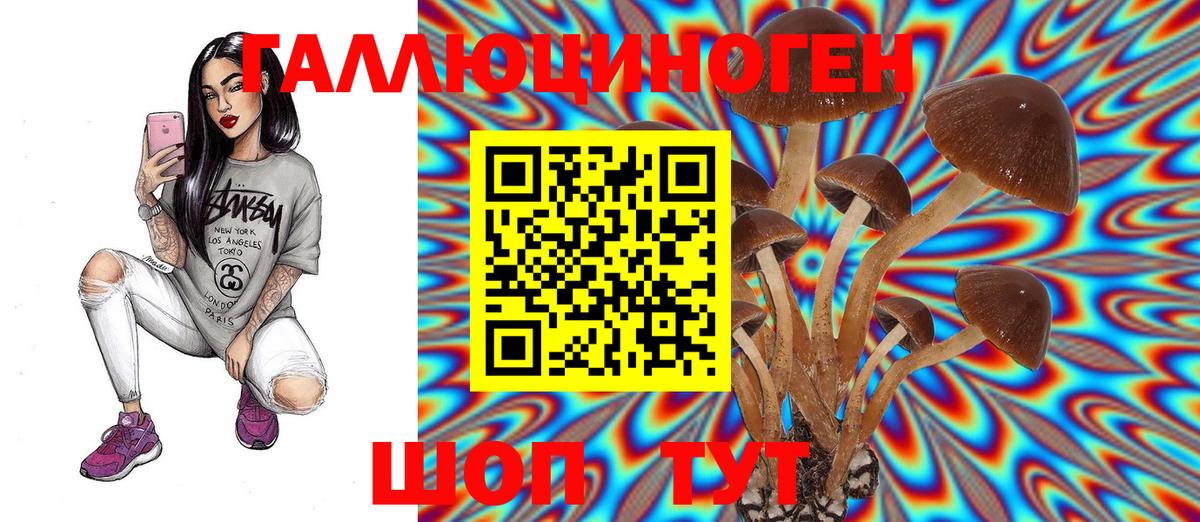 Галлюциногенные грибы MAGIC MUSHROOMS  Вход с VPN  Галлюциногенные грибы Psilocybine cubensis  Елец 